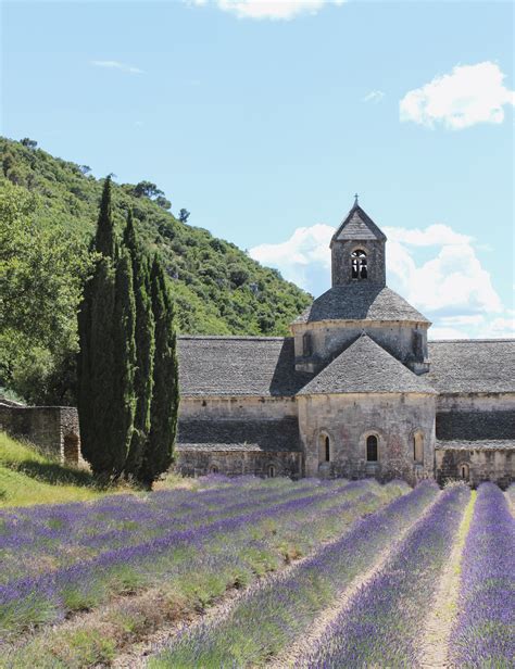 Lavender Fields in Provence - Petite Suitcase