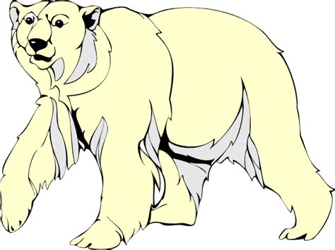 Free bear clip art polar bear clipart pics 2 image - Clipartix