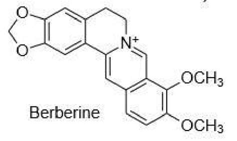 Structure of Berberine. | Download Scientific Diagram