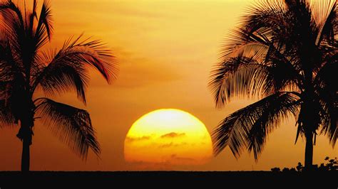 Image - Tropical beach sunset wallpaper 02 2560x1440.jpg | Animal Jam ...