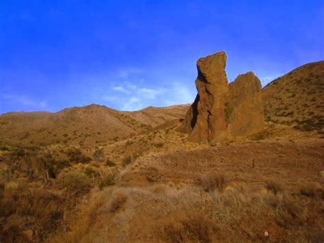 Estepa: La Meseta de la Patagonia Argentina