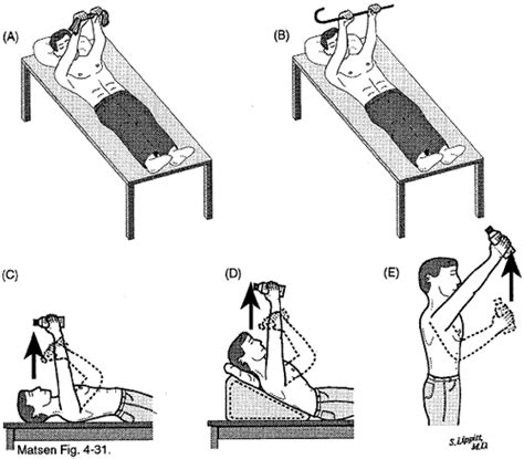 Exercises To Strengthen The Shoulder Joint - Exercise Poster