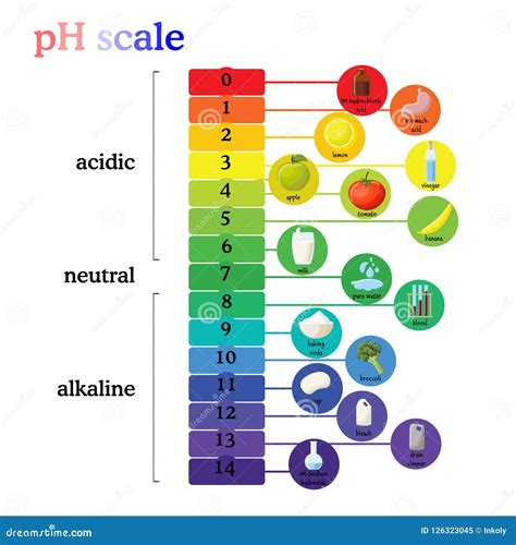 Ph Scale Litmus Paper Color Chart Vector Illustration Cartoondealer Images