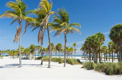 Best Beaches in Miami - Choice Hotels