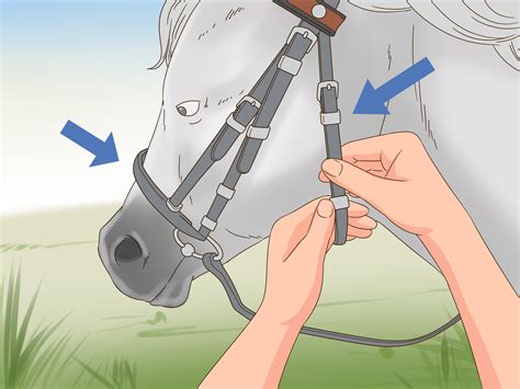 How to Tack up a Horse: 14 Steps (with Pictures) - wikiHow