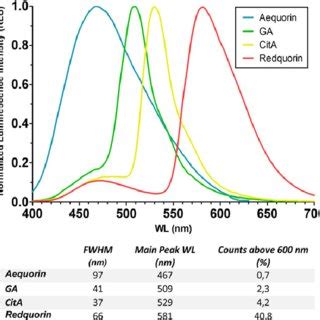 2D aequorin structure representing the major functions of several amino ...