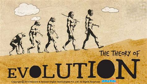 Theory Evolution: Charles Darwin Theory Evolution Ks2