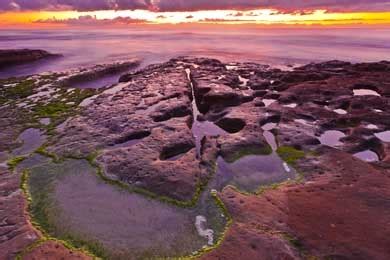 Shell Beach Tide Pools (La Jolla, CA) 2023 Review & Ratings | Family ...