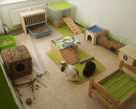 Rabbit Housing Ideas Indoor – How to rabbit