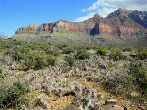 kinexxions: Grand Canyon :: Indian Gardens to Plateau Point