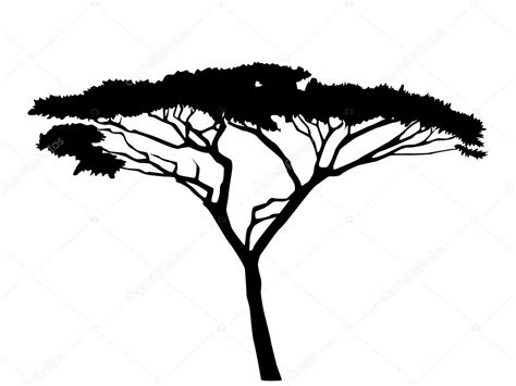 Acacia tree silhouette Stock Vector by ©ColorValley 79622692