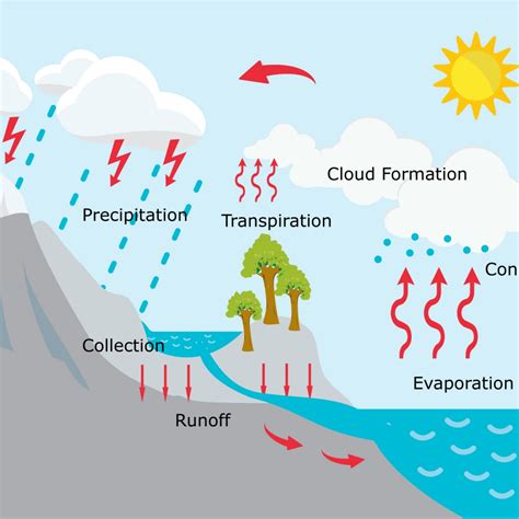 water-cycle-diagram-thumb - DTMA