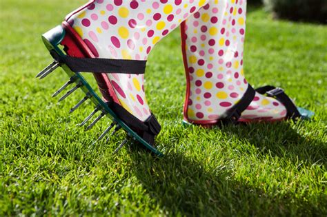 Aeration: Backyard Lawn Care | Blain's Farm & Fleet Blog