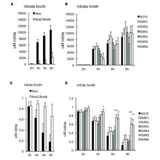 | Nitrate (NO 3− ) and nitrite (NO 2− ) reduction. (A,B) Cells were ...