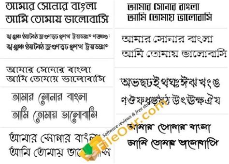 Bijoy Bangla Font Free Download | 1028 Bijoy Bayanno Font