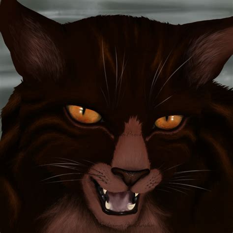 tigerstar - WARRIOR CATS Photo (27207632) - Fanpop