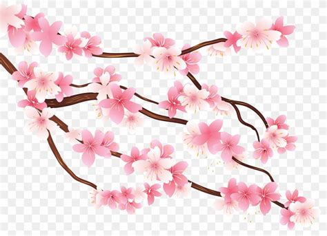 Cherry Blossom Tree Branch Clip Art