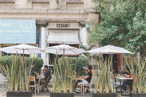 Best Vegan Restaurants In Mexico City - Vegan Travel Agent