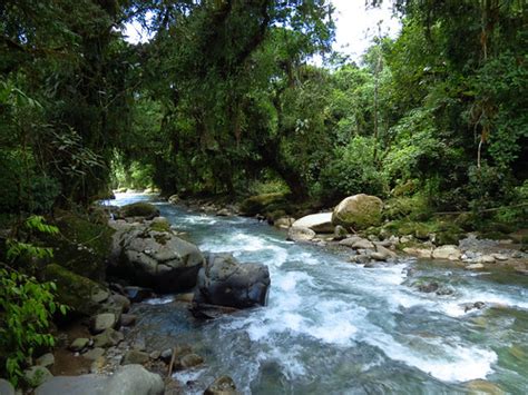 Flickriver: Photos from Pejibaye, San Jose, Costa Rica