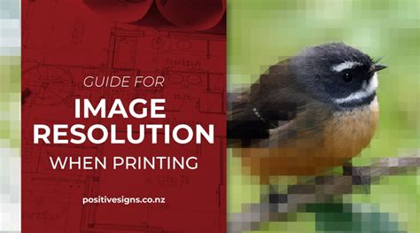 Guide for Image Resolution When Printing - Positive Signs + Print