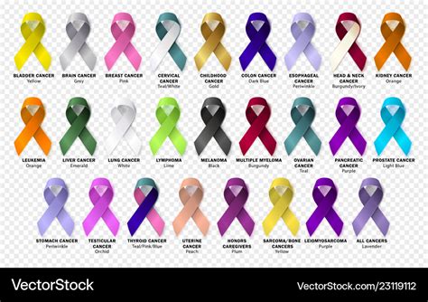 Set ribbon all cancers cancer awareness ribbons Vector Image