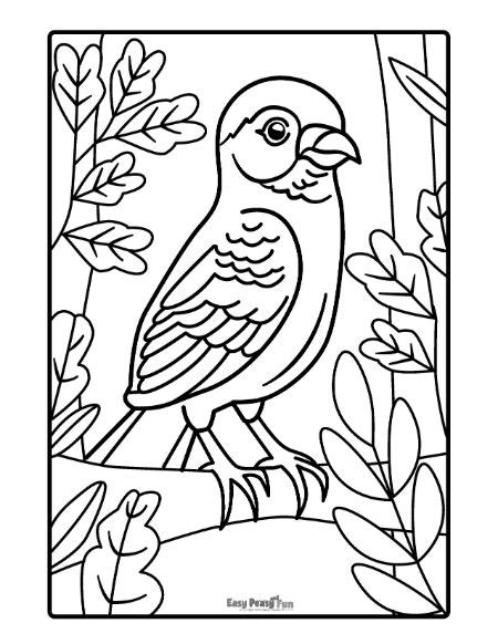 free printable free birds coloring pages ready for download