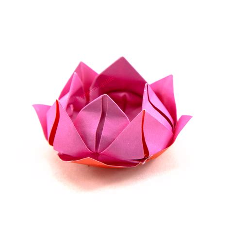 Origami Princess Lotus Flower