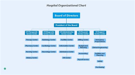 A Comprehensive Overview of Hospital Organizational Charts - EdrawMind