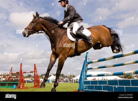 Equestrian sport horse riders show jumping competition horse jumping ...