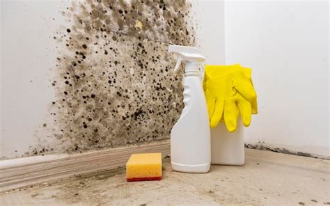 Premium Photo | Removal of mold from the wall detergents for removal of ...