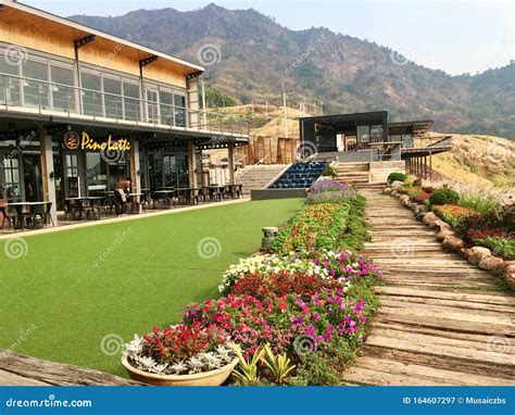 CafÃ© and Restaurant Garden Decoration Design on Mountain Stock Image ...