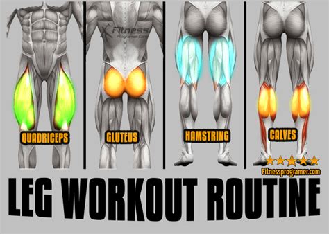 Intermediate Leg Workout Routine For Building Muscle