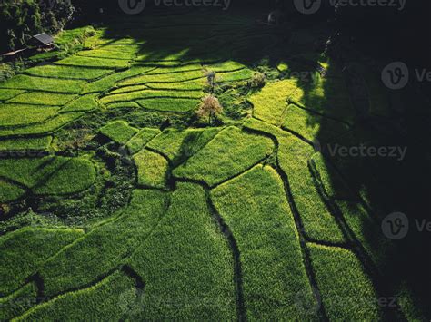 Landscape Paddy rice field in Asia, aerial view 3357677 Stock Photo at ...