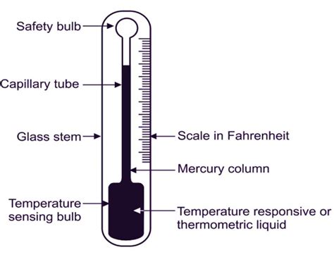 Mercury Thermometer Diagram