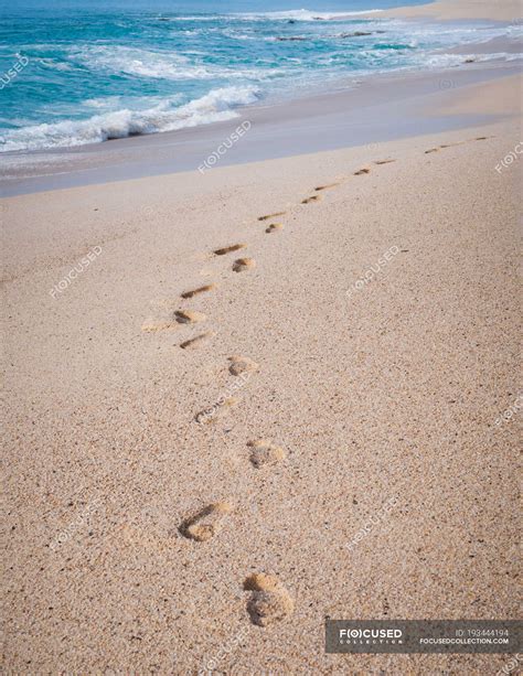 Scenic view of footprints in the sand on beach — close up, travel ...