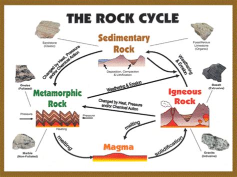 Formation Of Sedimentary Rocks Diagram