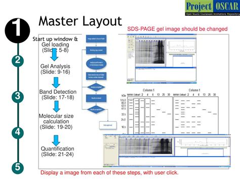 PPT - SDS-PAGE gel analysis PowerPoint Presentation, free download - ID ...