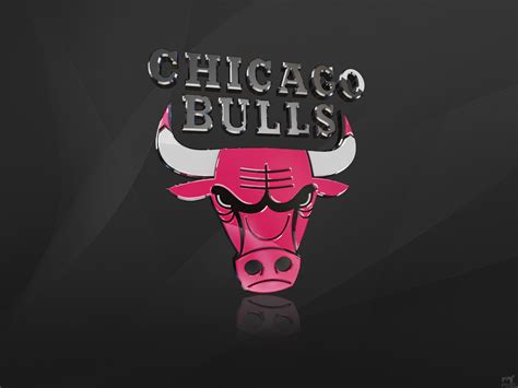 Chicago Bulls Logo Wallpapers HD | PixelsTalk.Net