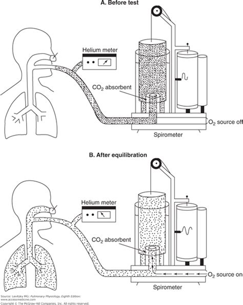 Alveolar Ventilation | Basicmedical Key