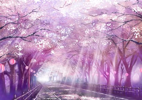 🔥 [40+] Sakura Tree Wallpapers | WallpaperSafari