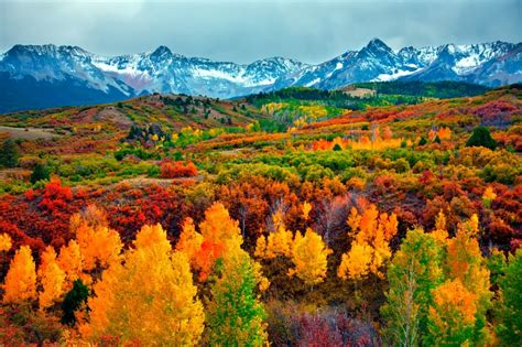 Critter Sitter's Blog: More Fall Foliage in Colorado