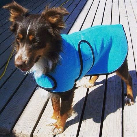 Cool coats work really well to keep your pup comfortable and help ...