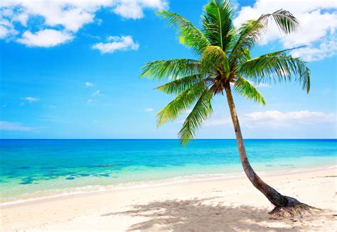 Tropical Beach Wallpapers