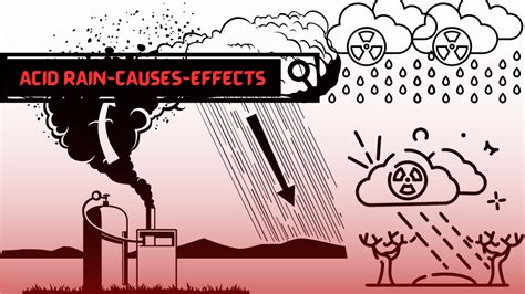 Acid Rain: Causes, Effects, Detailed Concepts -023