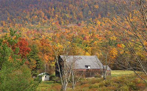 6 Best Fall Foliage Drives in Western Pennsylvania