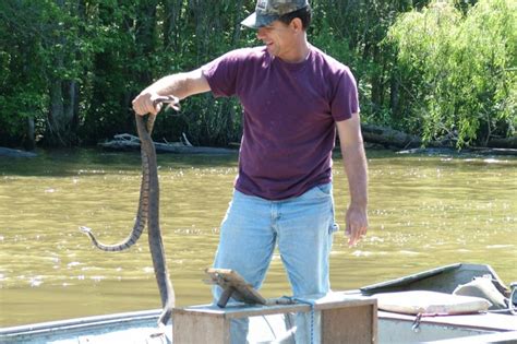 Honey Island Swamp Small Boat Tour with Transfer - New Orleans ...