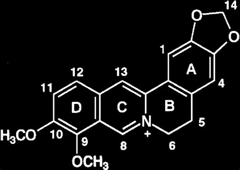 Chemical structure of Berberine. | Download Scientific Diagram