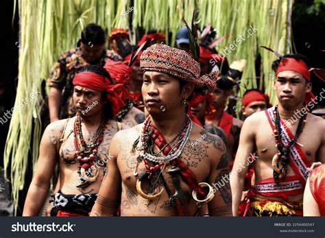 850 Tattoo Dayak Images, Stock Photos, 3D objects, & Vectors | Shutterstock