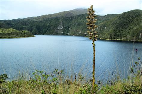 Cotacachi,volcano,ecuador,caldera,crater lake - free image from needpix.com