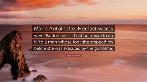 Top 20 Marie Antoinette Quotes (2022 Update) - Quotefancy